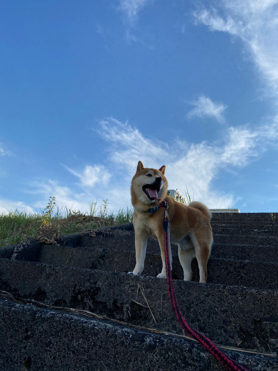 お礼