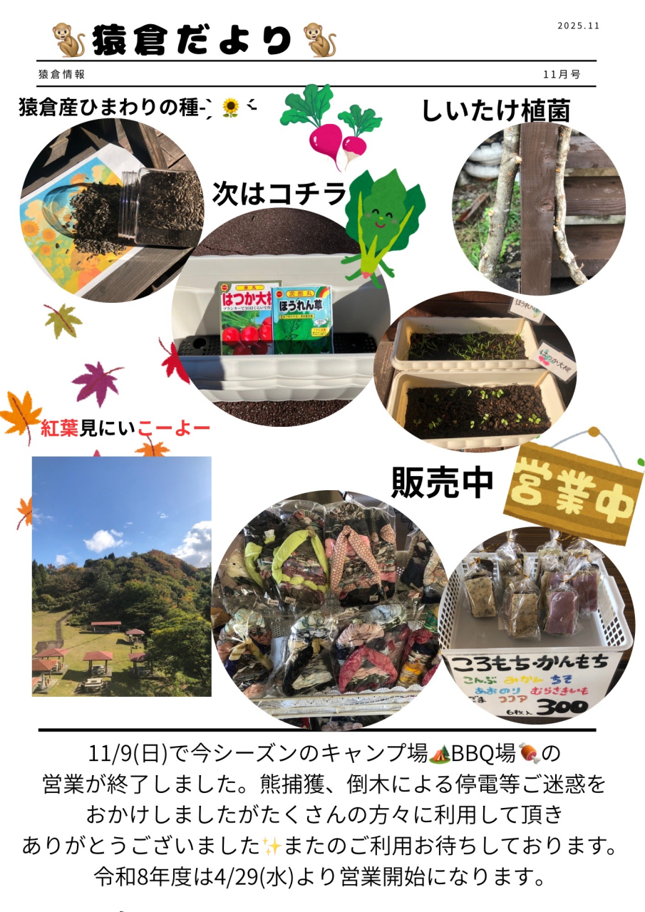 猿倉だより 11月号