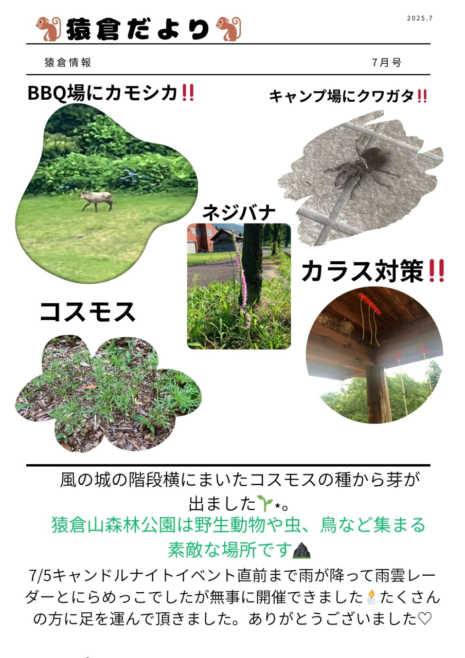 猿倉だより　7月号